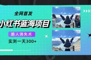 全网首发,小红书蓝海项目,路人消失术,实测一天300+(教程+工具)