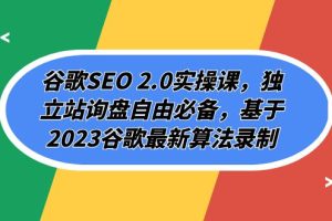 谷歌SEO 2.0实操课,独立站询盘自由必备,基于2023谷歌最新算法录制