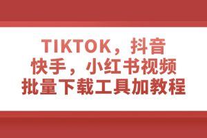 TIKTOK,抖音,快手,小红书视频批量下载工具加教程