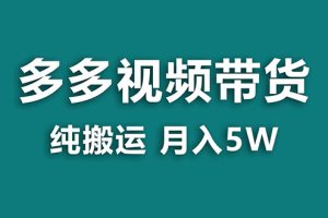 【蓝海项目】多多视频带货，靠纯搬运一个月搞5w，新手小白也能操作【揭秘】