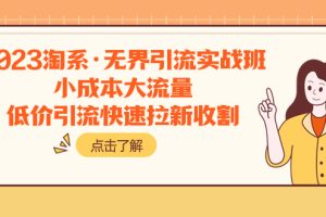 2023淘系·无界引流实战班:小成本大流量,低价引流快速拉新收割