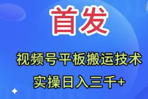 全网首发：视频号平板搬运技术，实操日入三千＋