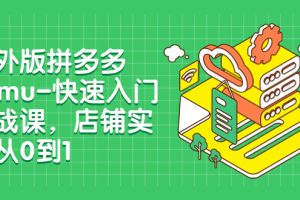 海外版拼多多Temu-快速入门实战课,店铺实战从0到1(12节课)