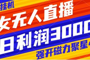 快手挂机，美女无人直播，强开磁力聚星小铃铛，日入3000+