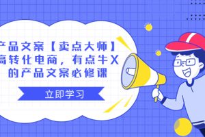 产品文案【卖点 大师】高转化电商，有点牛X的 产品文案必修课