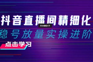 2024抖音直播间精细化运营:稳号放量实操进阶 选品/排品/起号/小店随心…
