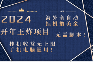 2024海外全自动挂机撸美金项目!手机电脑均可,无需脚本,收益无上限!