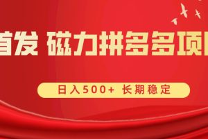 首发 磁力拼多多自撸  日入500+