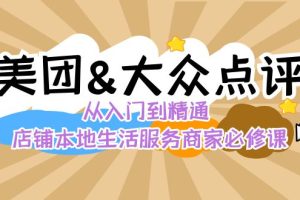 美团+大众点评 从入门到精通：店铺本地生活 流量提升 店铺运营 推广秘术…