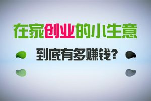 在家创业,日引300+创业粉,一年收入30万,闷声发财的小生意,比打工强