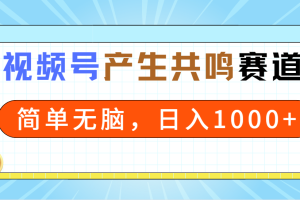 2024年视频号，产生共鸣赛道，简单无脑，一分钟一条视频，日入1000+