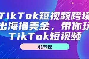 TikTok短视频跨境出海撸美金,带你玩TikTok短视频(41节课)