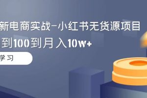 2024全新电商实战-小红书无货源项目:从0到1到100到月入10w+