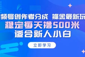 【蓝海项目】视频号创作者分成 掘金最新玩法 稳定每天撸500米 适合新人小白