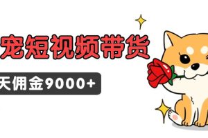 萌宠短视频带货,2天佣金9000+