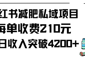 小红书减肥私域项目每单收费210元单日成交20单,最高日入4200+