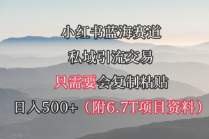 小红书短剧赛道,私域引流交易,会复制粘贴,日入500+(附6.7T短剧资源)