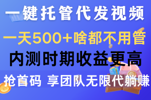 一件托管代发视频，纯绿色，收益更高，抢首码，实现无限躺赚