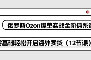 俄罗斯 Ozon-爆单实战全阶体系课,零基础轻松开启海外卖货(12节课)