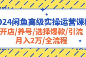2024闲鱼高级实操运营课程:开店/养号/选择爆款/引流/月入2万/全流程