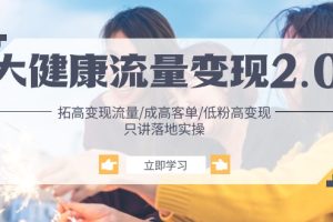 大健康 流量 变现2.0:拓高变现 流量/成高客单/低粉高变现/只讲落地实战