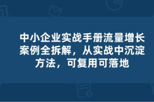 中小 企业 实操手册-流量增长案例拆解,从实操中沉淀方法,可复用可落地
