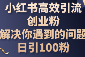 小红书高效引流创业粉,解决你遇到的问题,日引100粉