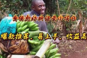 奥德彪经典语录小项目,爆款推荐,易上手,收益高