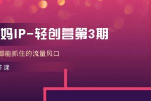 ,人人都能抓住的流量风口(21节课)