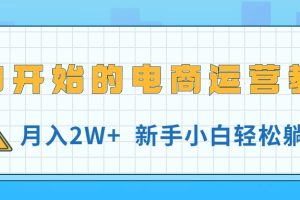 从0开始的电商运营教学，月入2W+，新手小白轻松躺赚