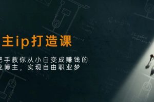 博主ip打造课:手把手教你从小白变成赚钱的创业博主,实现自由职业梦