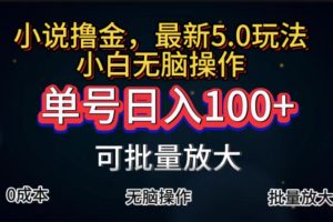全自动小说撸金,单号日入100+小白轻松上手,无脑操作