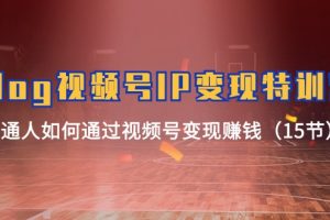 Vlog 视频号IP变现特训营,普通人如何通过视频号变现赚钱(15节)