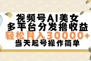 视频号AI美女,轻松月入30000+,操作简单轻松上手
