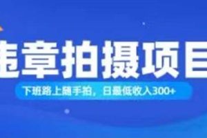 违章拍摄，随手拍也能赚钱？日入300+