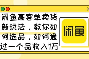 闲鱼高客单卖货新玩法,教你如何选品,如何通过一个品收入1万+