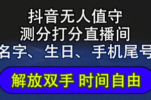 抖音蓝海AI软件全自动实时互动无人直播非带货撸音浪，懒人主播福音，单…