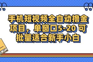 手机短视频掘金项目,单窗口单平台5-20 可批量适合新手小白