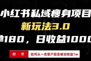 小红书瘦身项目3.0模式,新手小白日赚收益1000+(附从一名客户裂变收益…