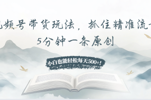 视频号带货玩法，抓住精准流量，5分钟一条原创，小白也能轻松每天500+！