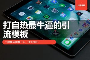 打自热最牛逼的引流模板，二剪搬运嗖嗖上人，日引300+