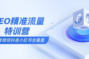 SEO精准流量特训营，百度微信抖音小红书全覆盖，带你搞懂搜索优化核心技巧