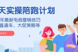 淘天实操陪跑计划,2024年最新电商营销技巧,包括直通车、大促策略等