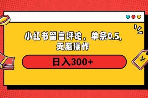 小红书评论单条0.5元，日入300＋，无上限，详细操作流程