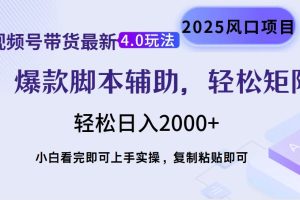 视频号带货最新4.0玩法,作品制作简单,当天起号,复制粘贴,轻松矩阵…