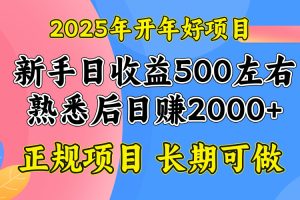 2025开年好项目,单号日收益2000左右