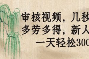 审核视频，几秒一单，多劳多得，新人小白一天轻松300+