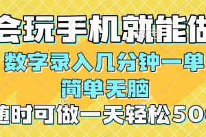 一部手机即可开始,验证码录入，几秒钟一单，，随时随地可做，每天500+
