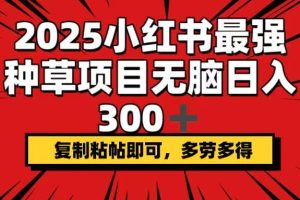 2025小红书最强种草项目，无脑日入300+，复制粘帖即可，多劳多得