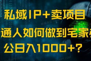 私域IP+卖项目，普通人如何做到宅家办公实现日入1000+
